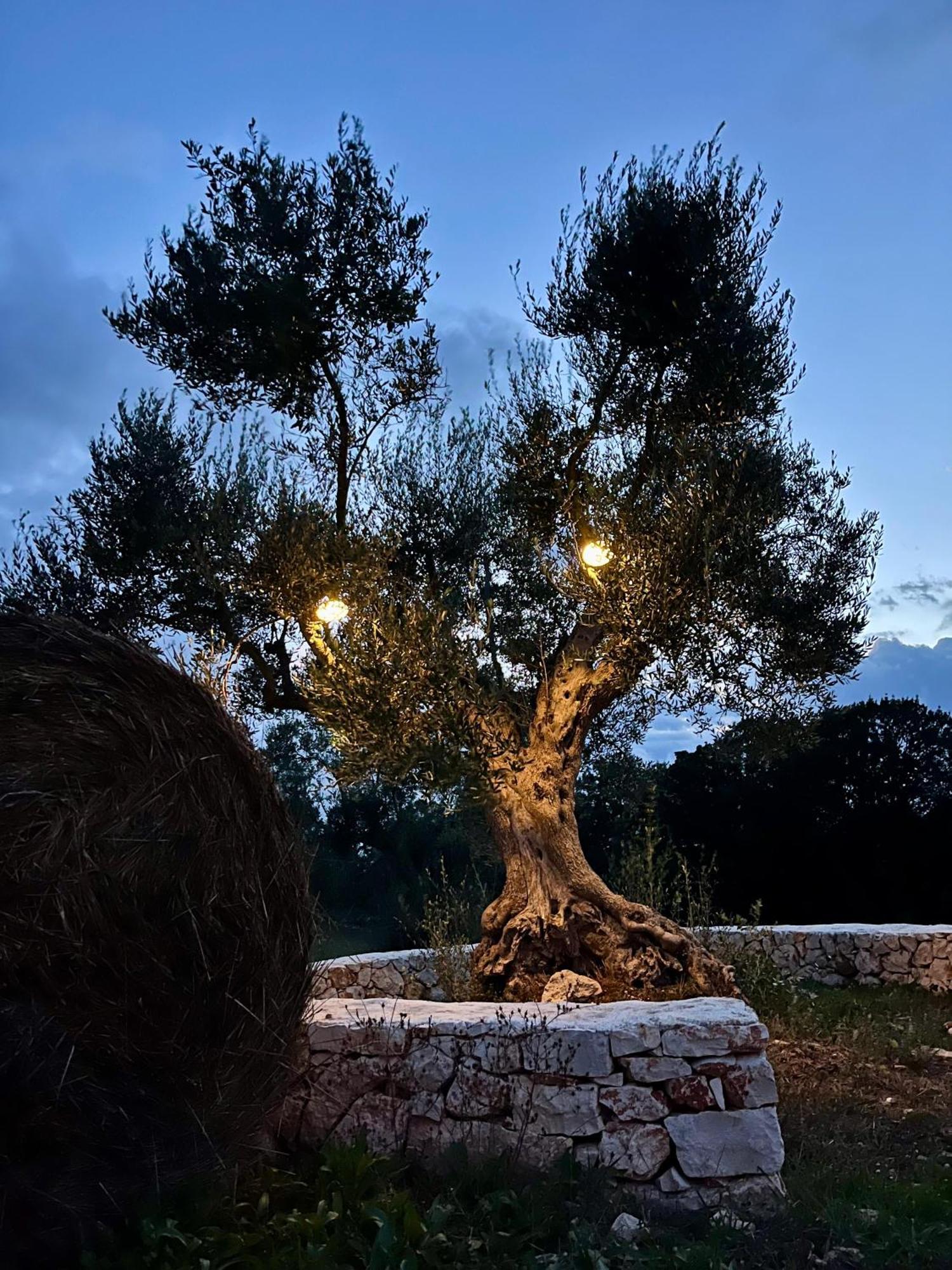 Trullo Dimora Podere Papilio Noci Exterior photo